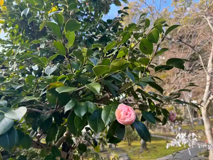 伊勢の国 四天王寺(三重県)