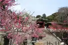 久能山東照宮の建物その他