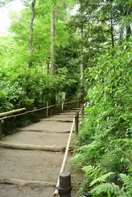 明治神宮(東京都)