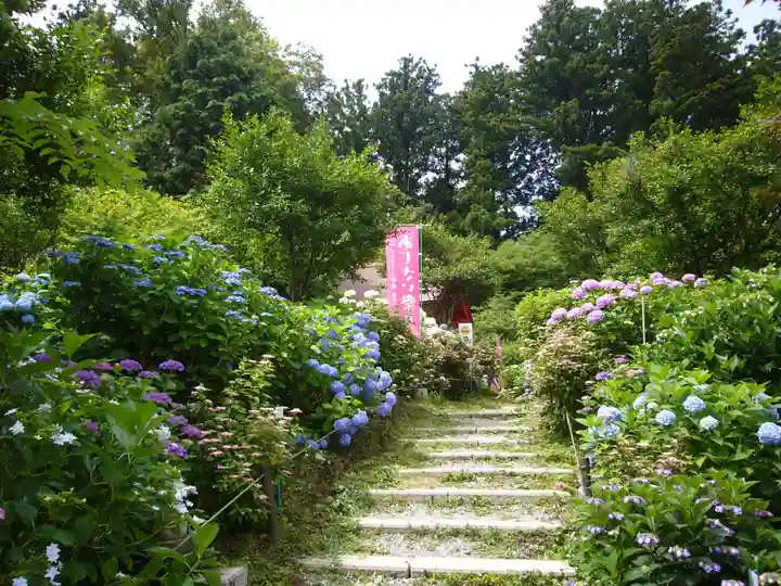 鷲子山上神社の自然