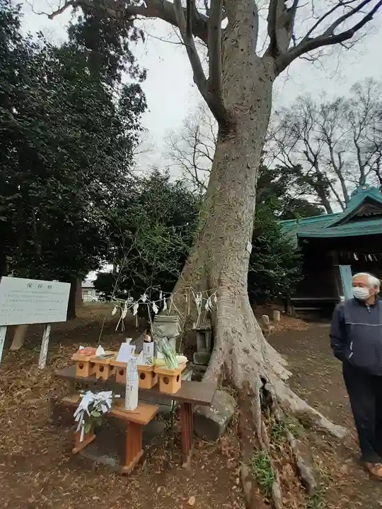 伏木香取神社(茨城県)