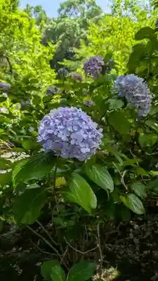  智積院(京都府)