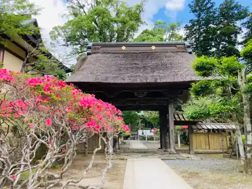 清澄寺の山門