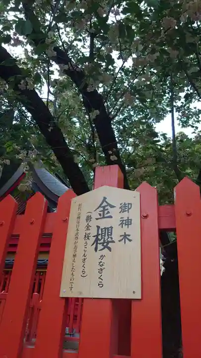 金櫻神社のその他建物