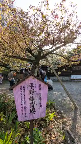 平野神社(京都府)