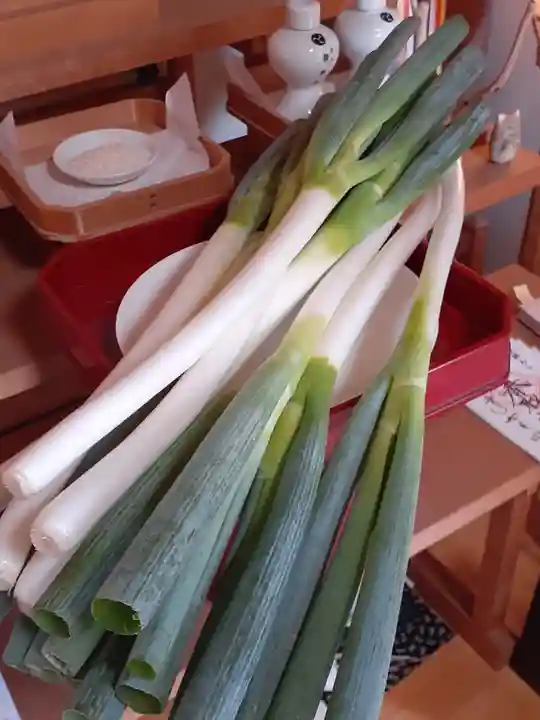 伏木香取神社(茨城県)