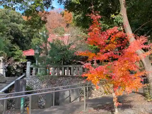 阿豆佐味天神社(東京都)
