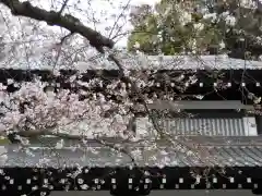 長谷寺(神奈川県)