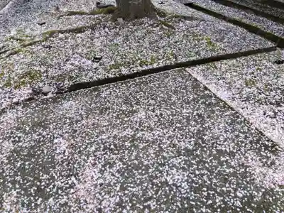 毫攝寺(福井県)