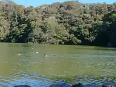 池宮神社の庭園