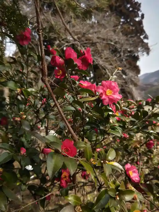 高司神社〜むすびの神の鎮まる社〜(福島県)