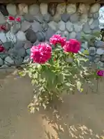 愛染院(東京都)