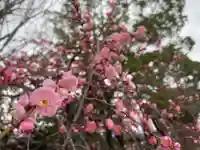 美奈宜神社の自然