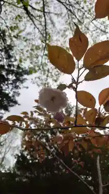 相馬神社(北海道)