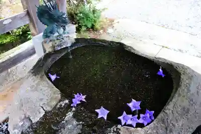 鹿島大神宮の手水舎