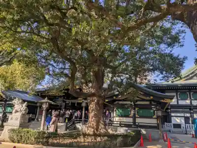 穴八幡宮(東京都)