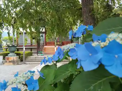 大蔵院(群馬県)