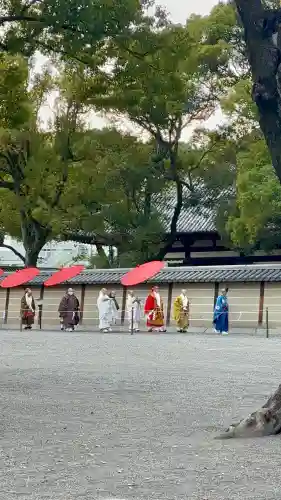 東寺（教王護国寺）の{uncategorized: "未分類", other: "その他", undefined: "問題あり", building: "その他建物", grave: "お墓", sacred_gate: "鳥居", guardian: "狛犬", statue: "像", buddha: "仏像", history: "歴史", nature: "自然", garden: "庭園", animal: "動物", pagoda: "塔", temizu: "手水舎", mountain_gate: "山門・神門", sanctuary: "本殿・本堂", subordinate: "末社・摂社", art: "芸術", scenery: "景色", jizo: "地蔵", ema: "絵馬", goshuin: "御朱印", omikuji: "おみくじ", items: "授与品その他", amulet: "お守り", goshuincho: "御朱印帳", eats: "食事", festival: "お祭り", votive_dance: "神楽", shichigosan: "七五三参", wedding: "結婚式", experience: "体験その他", initially: "初詣", around: "周辺", anti_infection: "感染症対策"}