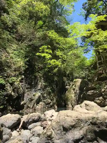 元伊勢天岩戸神社の自然