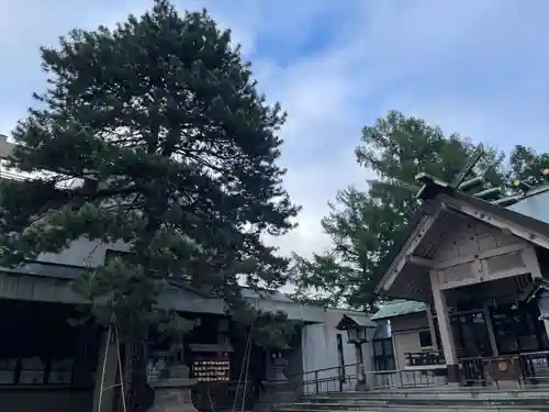 白石神社の本殿・本堂