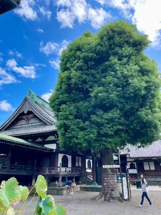 題経寺(柴又帝釈天)(東京都)
