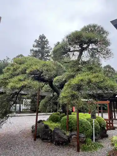 白鷺神社(栃木県)