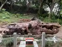 泉神社の{uncategorized: "未分類", other: "その他", undefined: "問題あり", building: "その他建物", grave: "お墓", sacred_gate: "鳥居", guardian: "狛犬", statue: "像", buddha: "仏像", history: "歴史", nature: "自然", garden: "庭園", animal: "動物", pagoda: "塔", temizu: "手水舎", mountain_gate: "山門・神門", sanctuary: "本殿・本堂", subordinate: "末社・摂社", art: "芸術", scenery: "景色", jizo: "地蔵", ema: "絵馬", goshuin: "御朱印", omikuji: "おみくじ", items: "授与品その他", amulet: "お守り", goshuincho: "御朱印帳", eats: "食事", festival: "お祭り", votive_dance: "神楽", shichigosan: "七五三参", wedding: "結婚式", experience: "体験その他", initially: "初詣", around: "周辺", anti_infection: "感染症対策"}