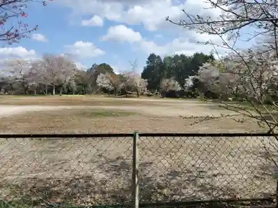 稲田神社の周辺