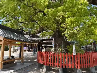 百舌鳥八幡宮(大阪府)