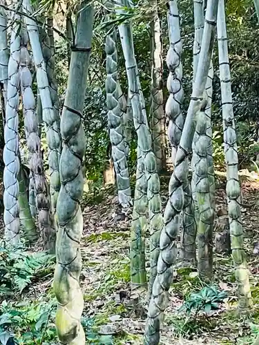 浄住寺(京都府)