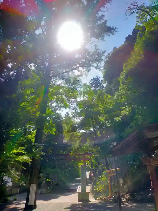 金刀比羅神社の鳥居