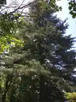 砂川神社(北海道)