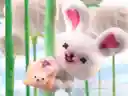 ぴょんさんのプロフィール画像