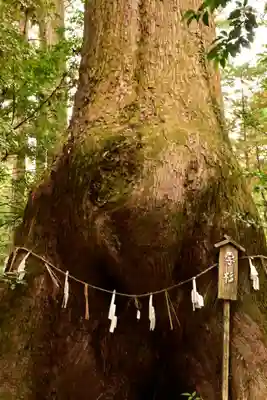 若一王子宮(高知県)