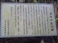 名草厳島神社の自然