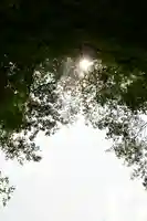 翡ヶ滝の祠(高知県)