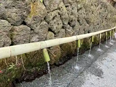 富士山本宮浅間大社(静岡県)
