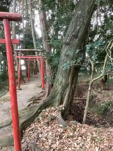 天道宮神明社（前原）の鳥居