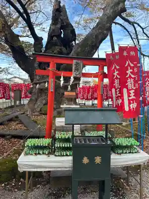 秩父今宮神社(埼玉県)