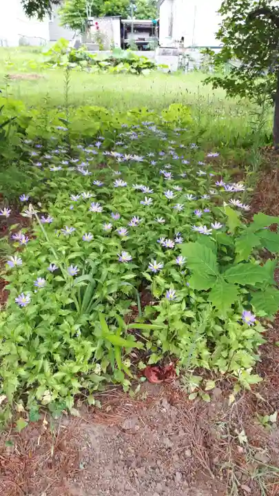極楽山 浄土寺(北海道)