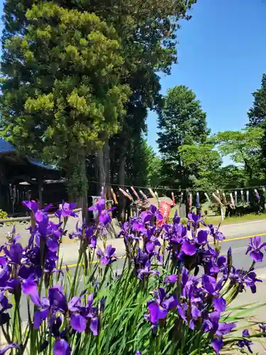高司神社〜むすびの神の鎮まる社〜(福島県)