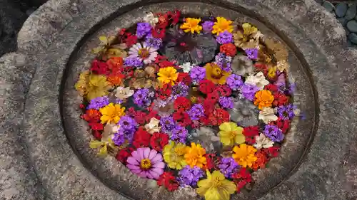 埼玉厄除け開運大師・龍泉寺（切り絵御朱印発祥の寺）の手水舎