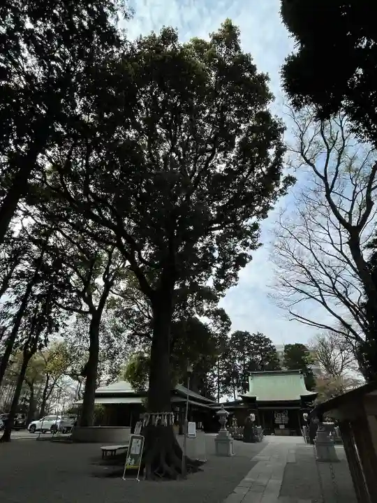 星川杉山神社のその他建物