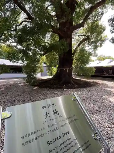 上野東照宮(東京都)