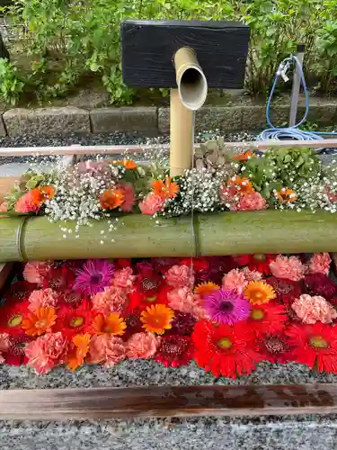 白山神社(新潟県)