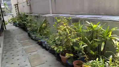 長崎大神宮の庭園