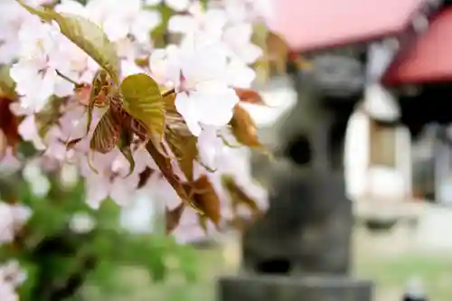 江部乙神社(北海道)