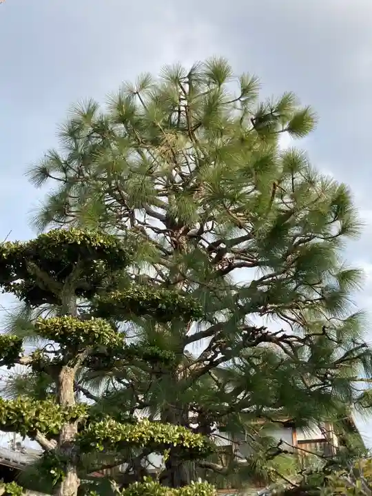 善福寺(兵庫県)
