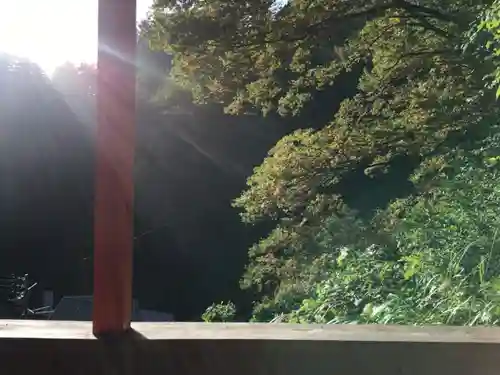 高龍神社の自然