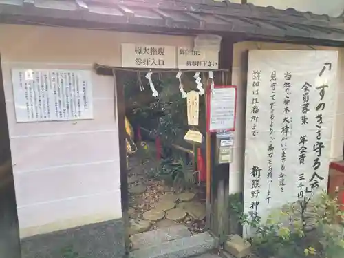 新熊野神社(京都府)